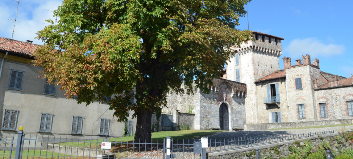 The Horse Chestnut of the Visconti Castle
