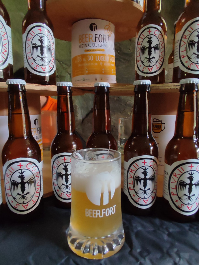 BeerFort 2024: Festival del Luppolo Festival della Comunita' Piuro 