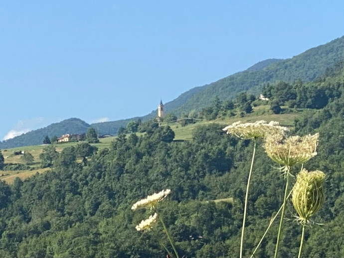 Degustazioni in montagna