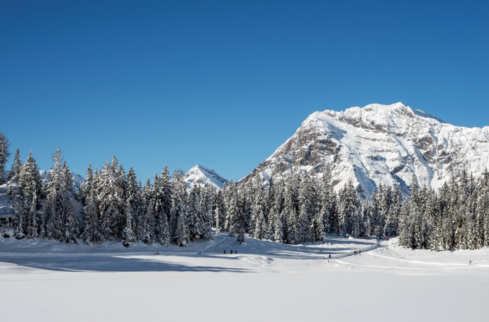 Consorzio turistico Sondrio e Valmalenco