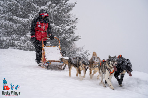 CENTRO ITALIANO SLEDDOG HUSKY VILLAGE