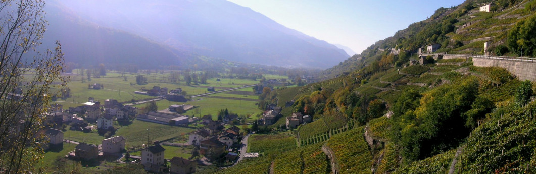 Valtellina Wine Trail