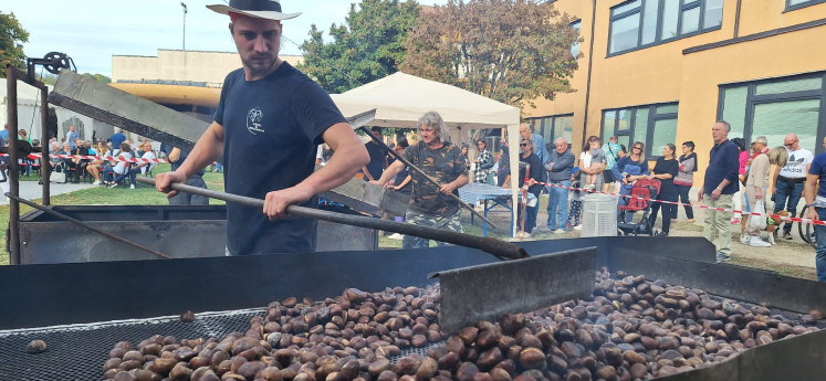 Festa delle Castagne di Miradolo Terme