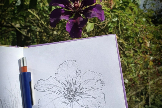 Disegnare fiori e erbe