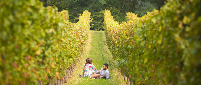 Festival Franciacorta in Cantina 2024 - ph: franciacorta.wine