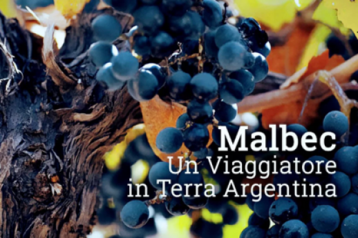 Malbec, un viaggiatore in terra argentina