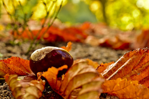 Autunno a Garzeno