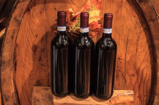 Discover and savor the wines of Valtellina