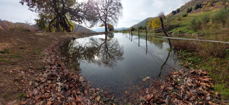 Pozza di abbeverata con faggio in autunno