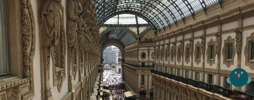File:Il mosaico dell'ottagono della Galleria Vittorio Emanuele II