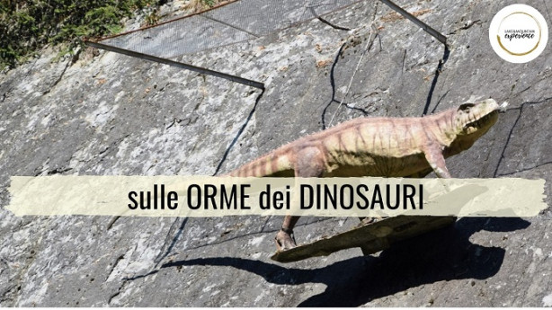 Dinosauri che passione!