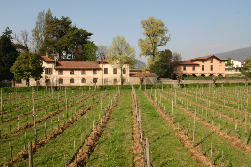 Ricci Curbastro Azienda Agricola