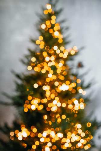 Albero di Natale e Capanna della Natività