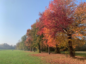 Ricordando Aurelia Josz: il Parco e la sua funzione agricola, 26 ottobre 2024