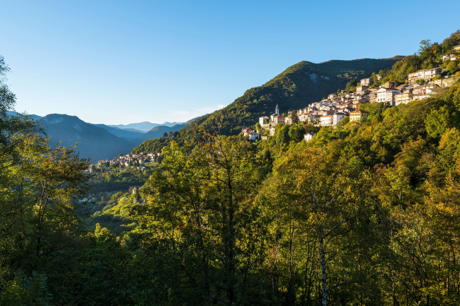 Veleso abbarbicato sul lato della montagna