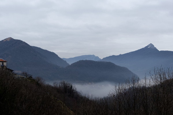 Panorama sui castagneti con colori autunnali