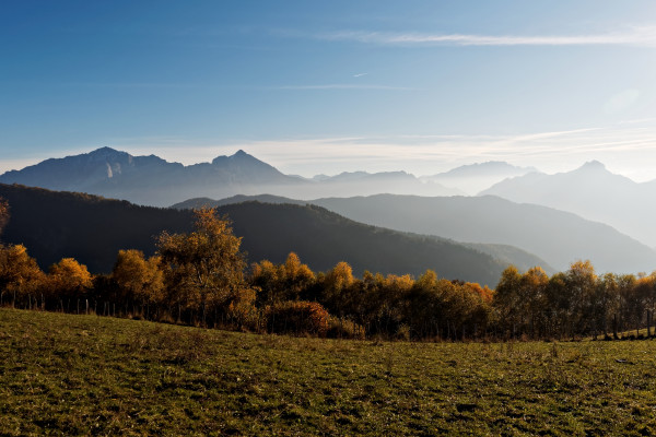 Pascoli, bosco e monti all'Alpe Spessola