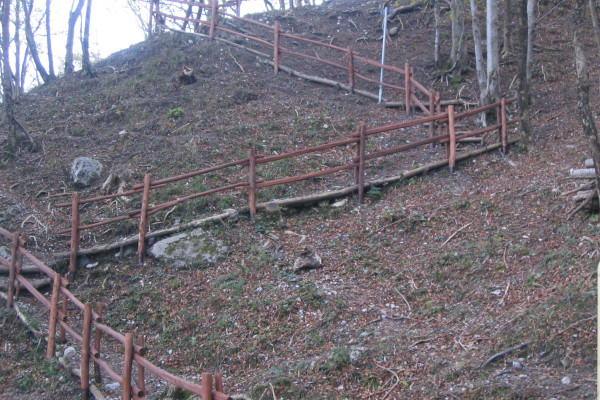 Percorso con staccionate all'interno del bosco a Rezzago