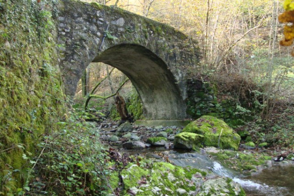 Ponte in pietra sul torrente Caprante