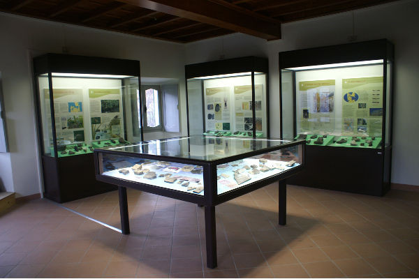 La sala paleontologica del museo di Grandola ed Uniti